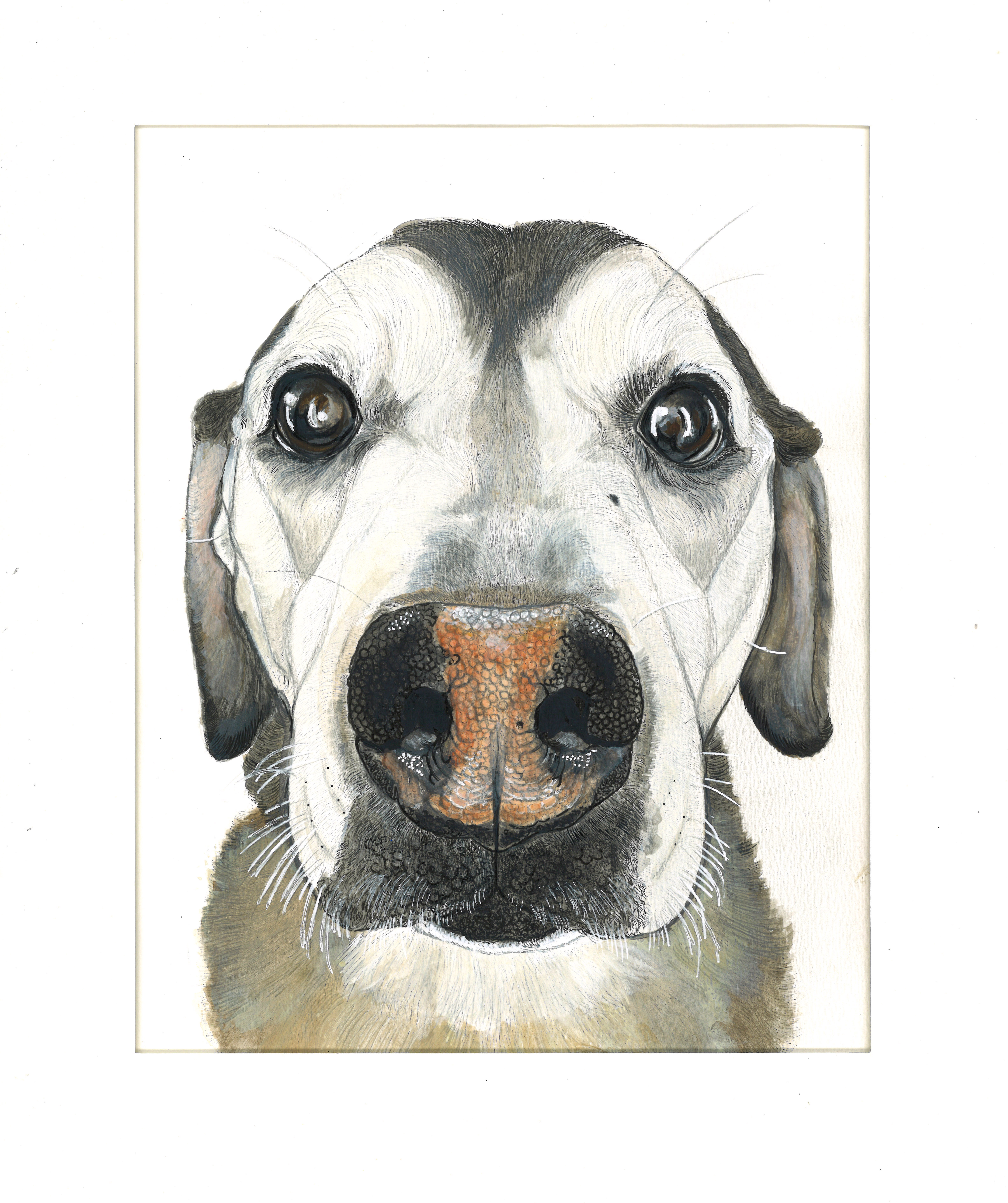 painting of husky labrador mix dog 