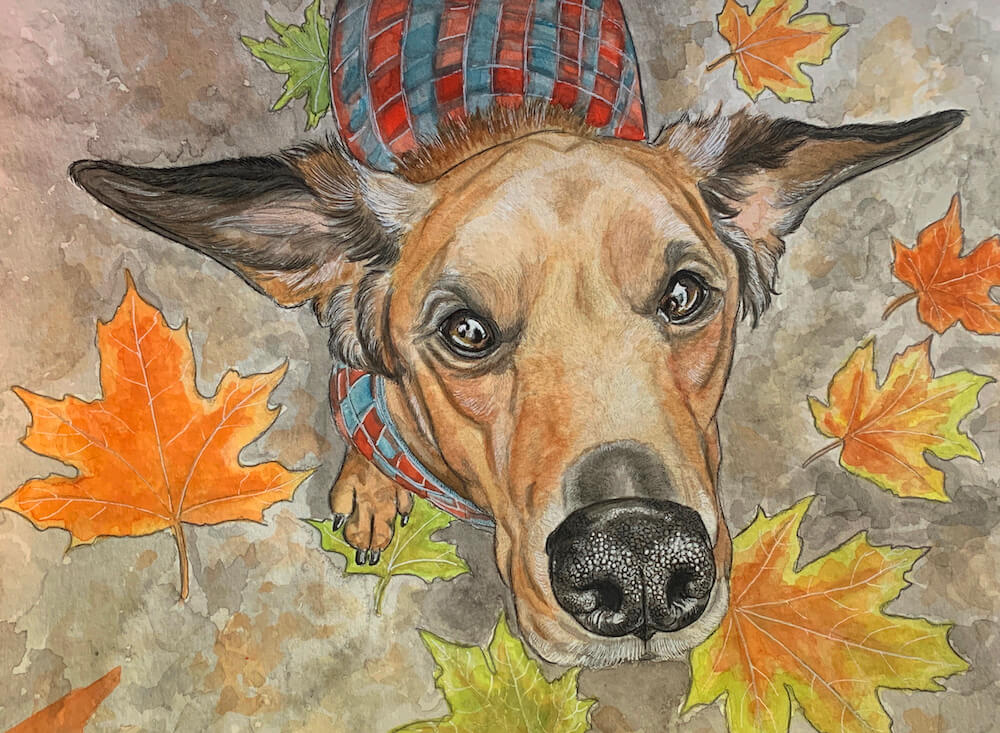 colorful dog painting with plaid sweater and fall leaves
