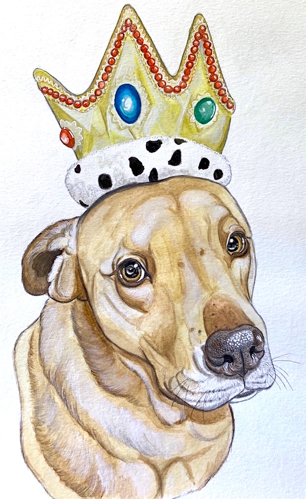 dog wearing crown drawing