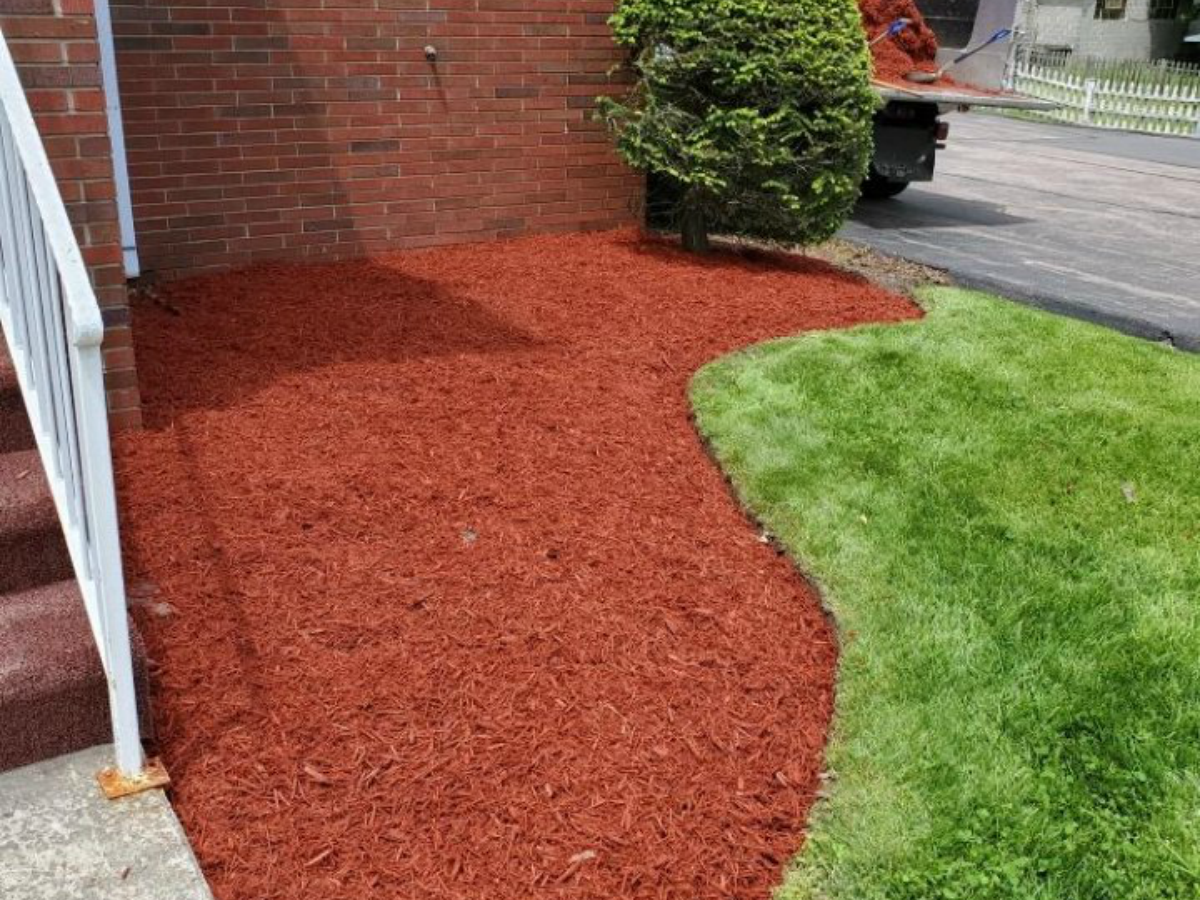 Completed landscaping project with fresh dyed red mulch installed