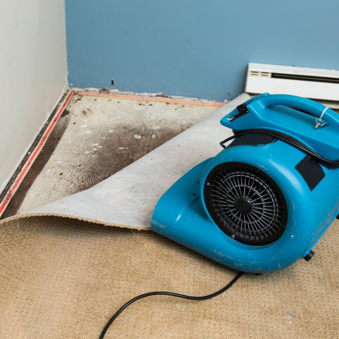 Water_damage