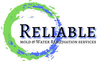 Reliable Mold & Water Remediation Services