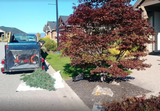Kelowna garden and yard cleanup