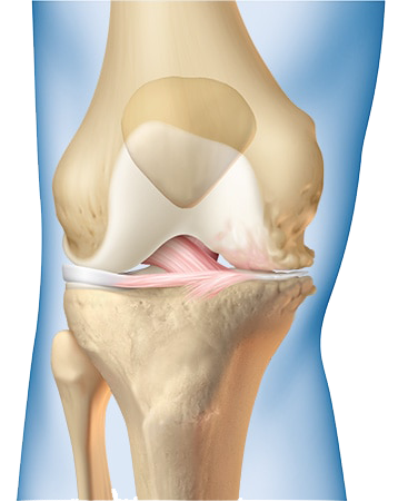 Knee Pain Relief