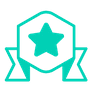star badge banner icon
