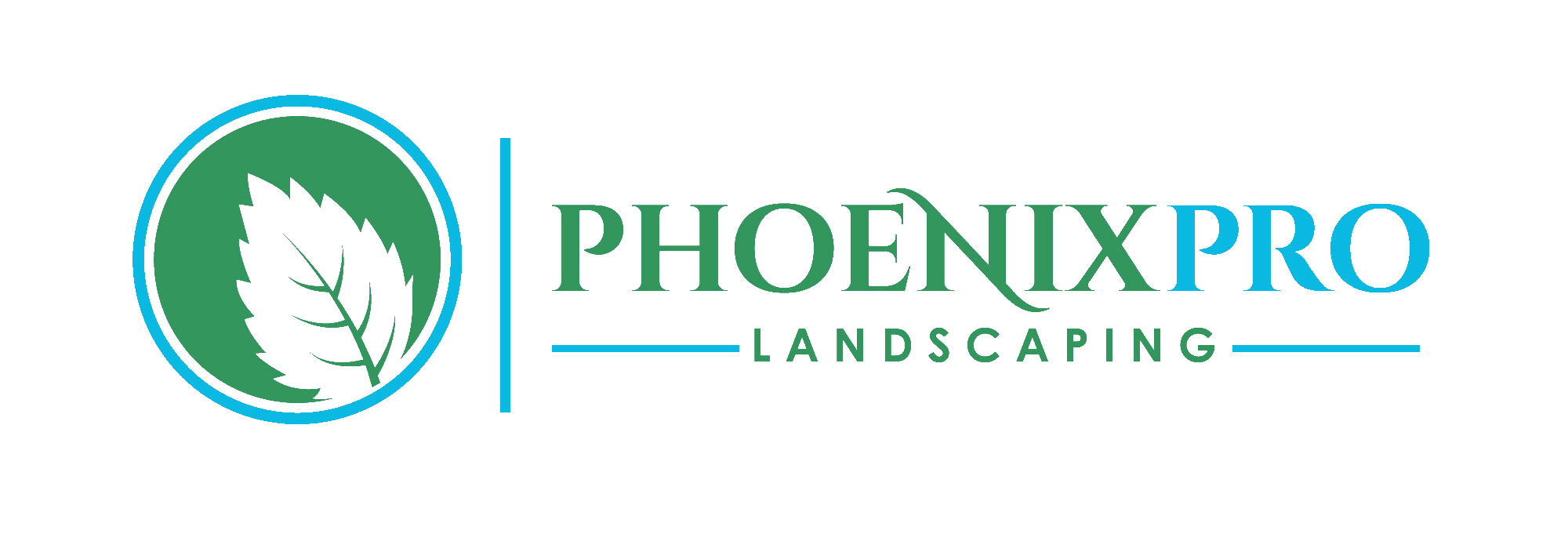 Phx Pro Landscaping, Professional Landscaping Services Phoenix Az