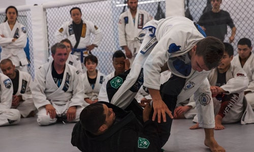 BRAZILIAN JIU-JITSU​