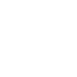 Instagram The Sunflower Agency Social Media Management