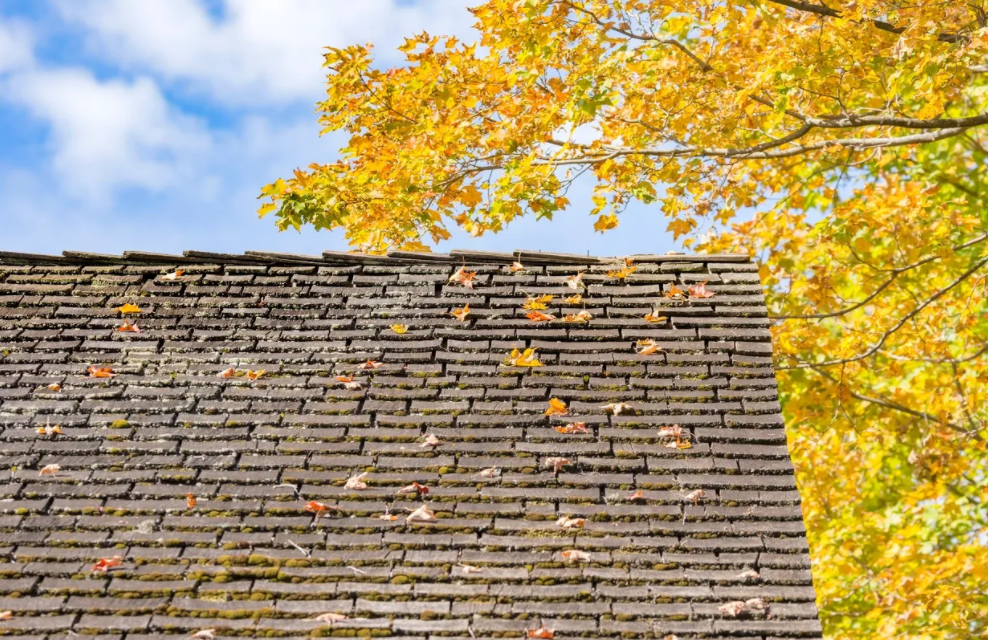 Northern Exteriors MN Inc. Schedule An Inspection