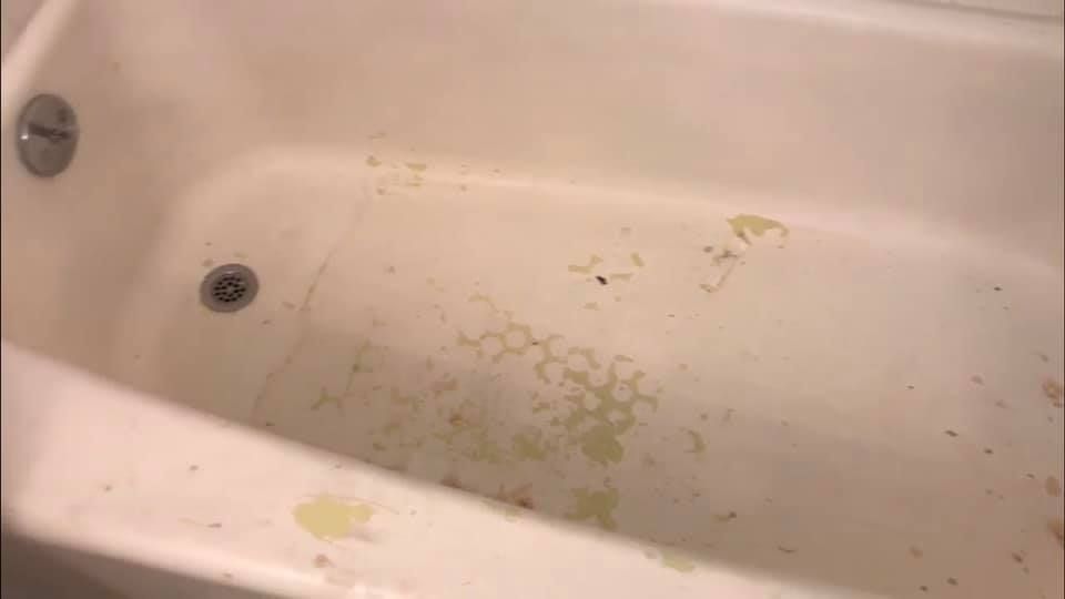 bathtub resurfacing tampa fl