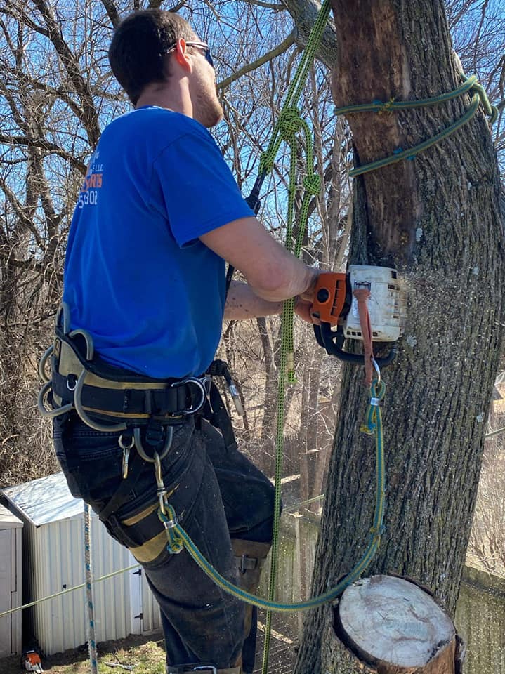 Tree Services Wichita KS