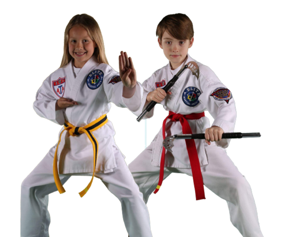 Martial Arts Classes For Children | Singewald's ATA