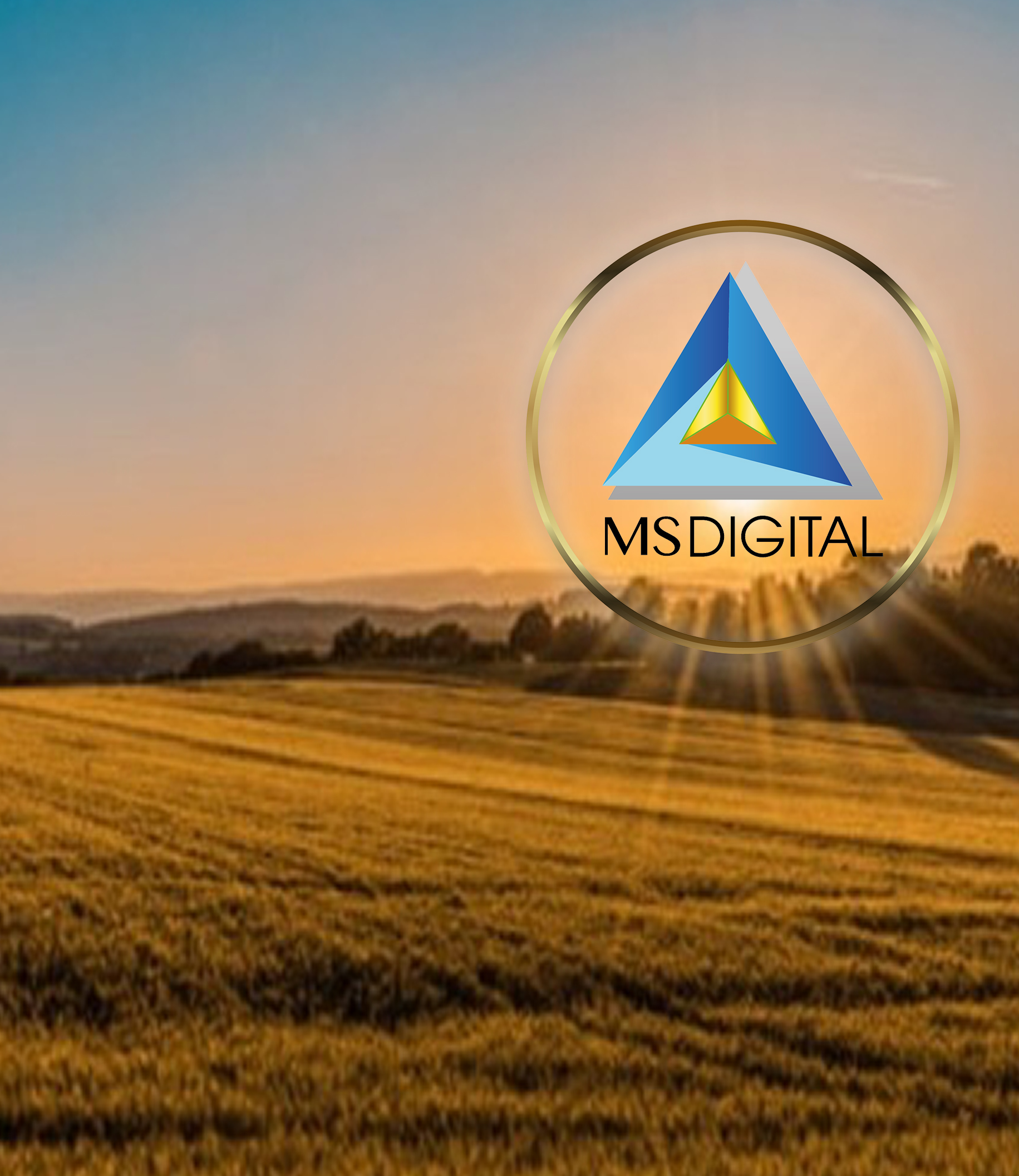 MS DIGITAL | Agencia Marketing Digital |Publicidad por Internet | Local