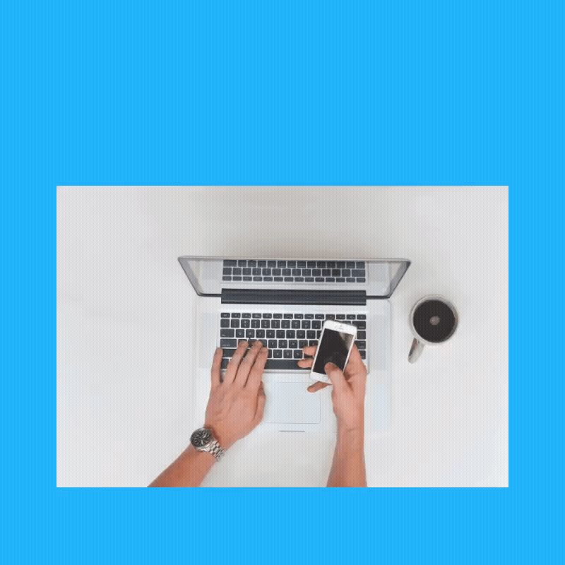 Professional Appliance Repair & Service