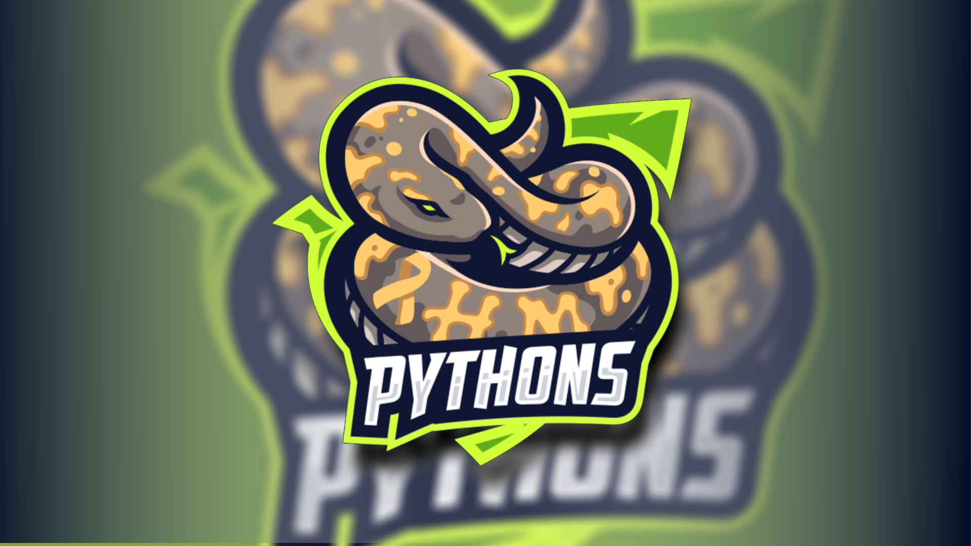 XP League | Registration